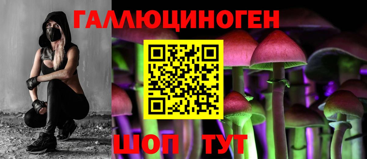 Вышний Волочёк  Галлюциногенные грибы ЛСД  Вход с VPN 