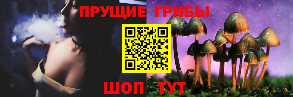 купить  сайты  Вышний Волочёк  Псилоцибиновые грибы Psilocybine cubensis  Псилоцибиновые грибы Cubensis 